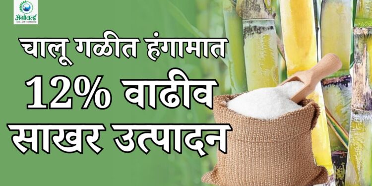 चालू गळीत हंगाम