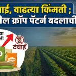 खत टंचाई