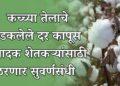 कच्च्या तेलाचे भडकलेले दर कापूस उत्पादक शेतकऱ्यांसाठी ठरणार सुवर्णसंधी