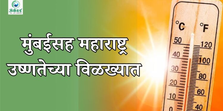 मुंबईसह महाराष्ट्र उष्णतेच्या विळख्यात