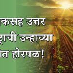 नाशिकसह उत्तर महाराष्ट्राची उन्हाच्या आगीत होरपळ!