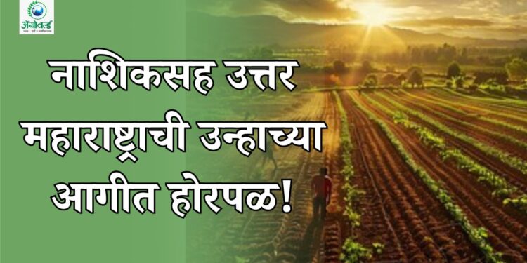 नाशिकसह उत्तर महाराष्ट्राची उन्हाच्या आगीत होरपळ!