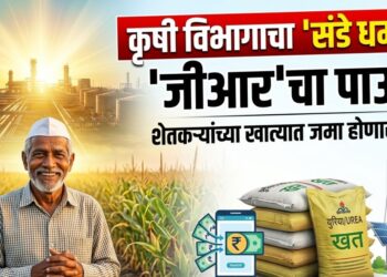 नमो शेतकरी महासन्मान' निधी