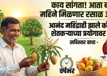 काय सांगता! आता बाराही महिने मिळणार रसाळ आंबा? आनंद महिंद्राही झाले कोटाच्या शेतकऱ्याच्या प्रयोगावर फिदा!