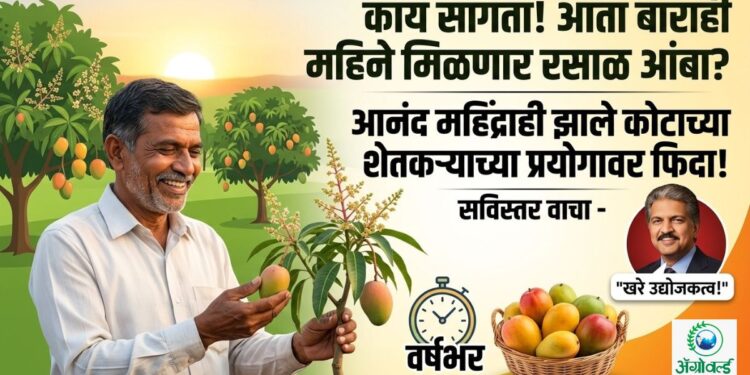 काय सांगता! आता बाराही महिने मिळणार रसाळ आंबा? आनंद महिंद्राही झाले कोटाच्या शेतकऱ्याच्या प्रयोगावर फिदा!