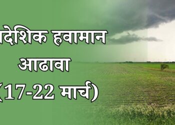 प्रादेशिक हवामान आढावा