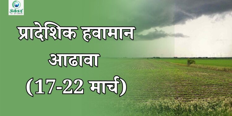 प्रादेशिक हवामान आढावा