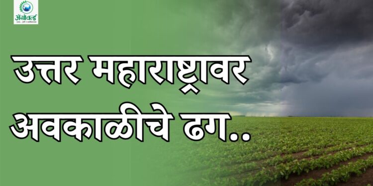 उत्तर महाराष्ट्रावर अवकाळीचे ढग..