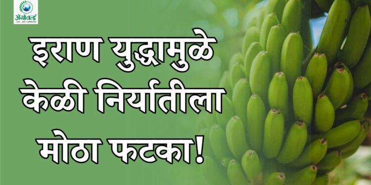 इराण युद्ध