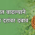 हरभरा दरांवर दबाव