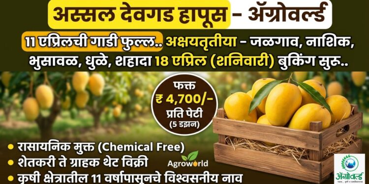 अस्सल देवगड हापूस – ॲग्रोवर्ल्ड.. 11 एप्रिलची गाडी फुल्ल.. अक्षयतृतीया – जळगाव, नाशिक, भुसावळ, धुळे, शहादा 18 एप्रिल (शनिवारी) बुकिंग सुरू..