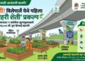 मुंबईच्या सिमेंटच्या जंगलात आता बहरणार भाजीपाल्याचे मळे!