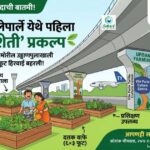 मुंबईच्या सिमेंटच्या जंगलात आता बहरणार भाजीपाल्याचे मळे!