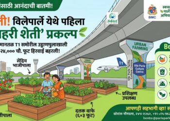 मुंबईच्या सिमेंटच्या जंगलात आता बहरणार भाजीपाल्याचे मळे!