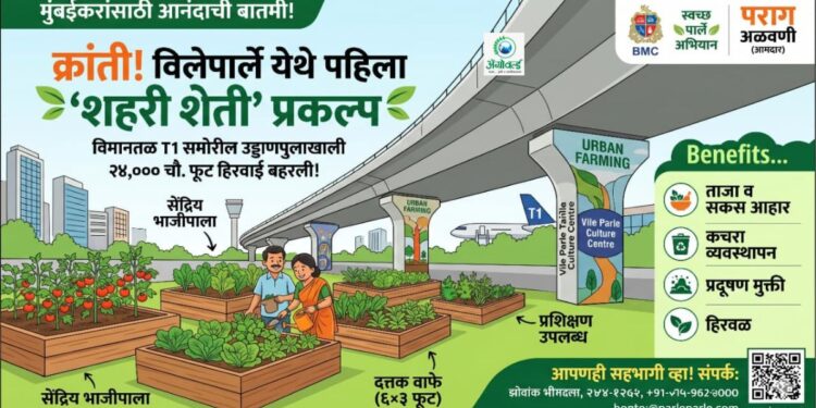 मुंबईच्या सिमेंटच्या जंगलात आता बहरणार भाजीपाल्याचे मळे!