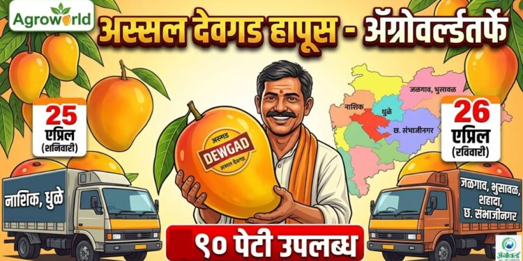 अस्सल देवगड हापूस