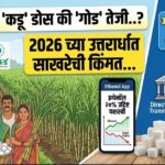 साखरेचा 'कडू' डोस की 'गोड' तेजी?