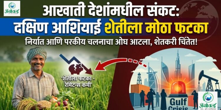 आखाती देशांमधील संकट: दक्षिण आशियाई शेतीला मोठा फटका; निर्यातीसह उत्पन्नावर टांगती तलवार