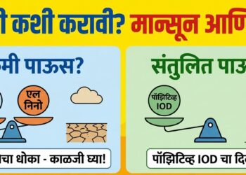 ‘मान्सून! आनंदाची बातमी; समुद्रात ‘एल निनो’च्या दुष्परिणामांना कमी करू शकणाऱ्या घडामोडी!