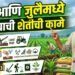 जून आणि जुलैमध्ये करावयाची शेतीची कामे