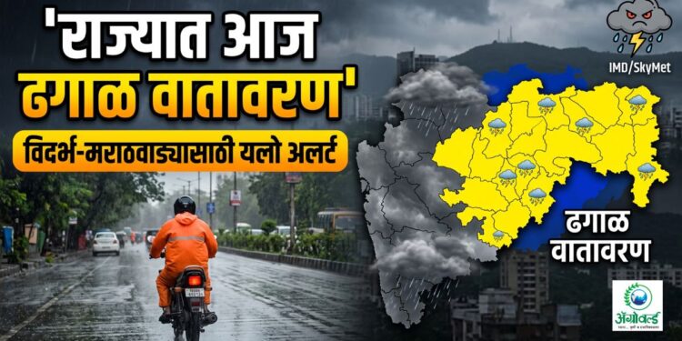 राज्याच्या बहुतांश भागात आज ढगाळ वातावरण; विदर्भ-मराठवाड्यासाठी यलो अलर्ट