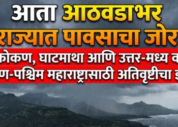 आता आठवडाभर राज्यात पावसाचा जोर