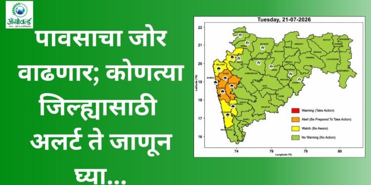 पावसाचा जोर वाढणार; कोणत्या जिल्ह्यासाठी अलर्ट ते जाणून घ्या…