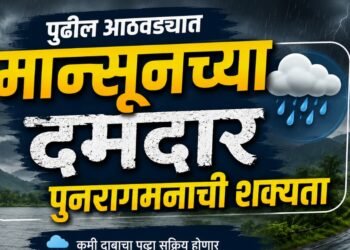 पुढील आठवड्यात मान्सूनच्या दमदार पुनरागमनाची शक्यता