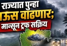 राज्यात पुन्हा पाऊस वाढणार; मान्सून ट्रफ सक्रिय