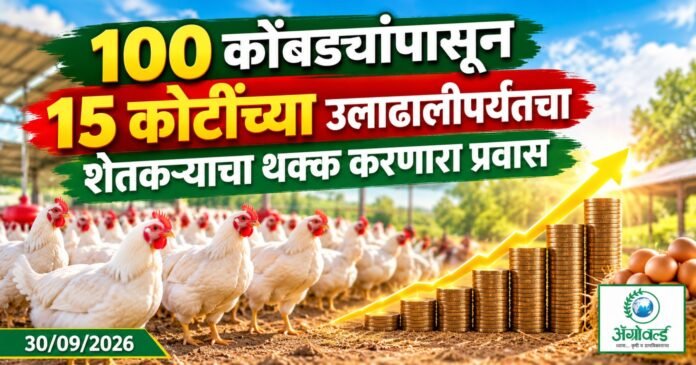 100 कोंबड्यांपासून