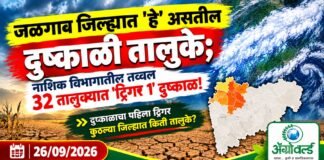 जळगाव जिल्ह्यात 'हे' असतील दुष्काळी तालुके