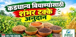 कडधान्य बियाण्यांसाठी शंभर टक्के अनुदान