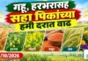 गहू, हरभरासह सहा पिकांच्या हमी दरात वाढ हरभरासह सहा पिकांच्या हमी दरात वाढ