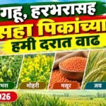 हरभरासह सहा पिकांच्या हमी दरात वाढ