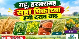 हरभरासह सहा पिकांच्या हमी दरात वाढ