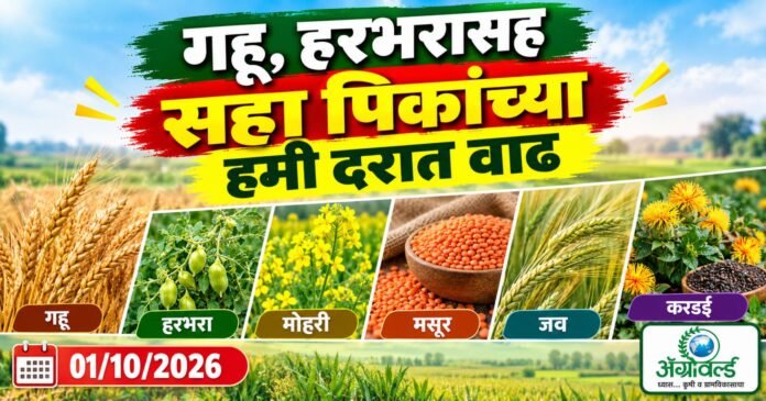 AG सहा पिकांच्या हमी दरवाढीची घोषणा हरभरासह सहा पिकांच्या हमी दरात वाढ