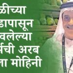 अरब