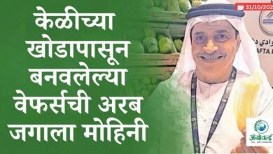 अरब