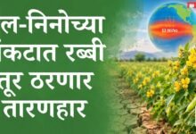 एल-निनो