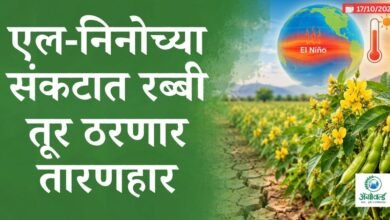 एल-निनो
