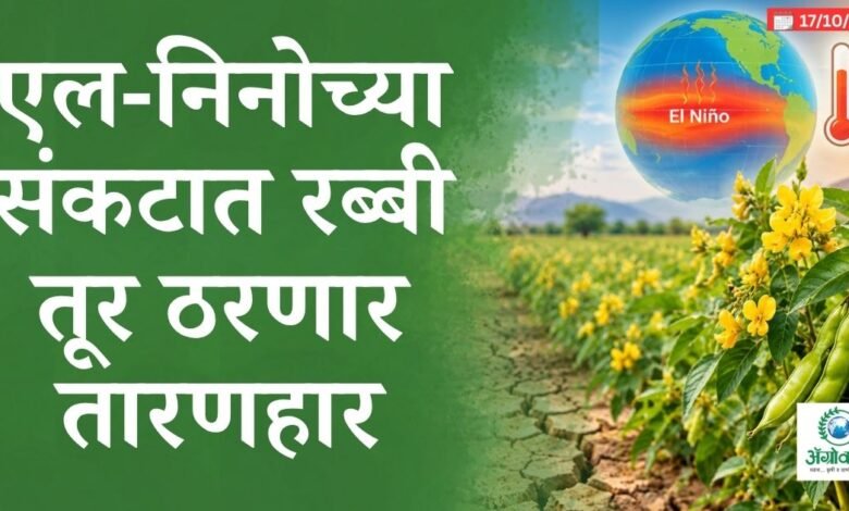 एल-निनो