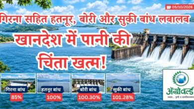 खानदेश में पानी की चिंता खत्म