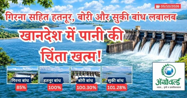 खानदेश में पानी की चिंता खत्म