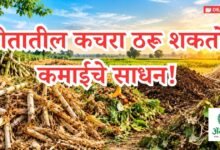कृषी अवशेष