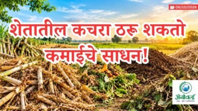 कृषी अवशेष