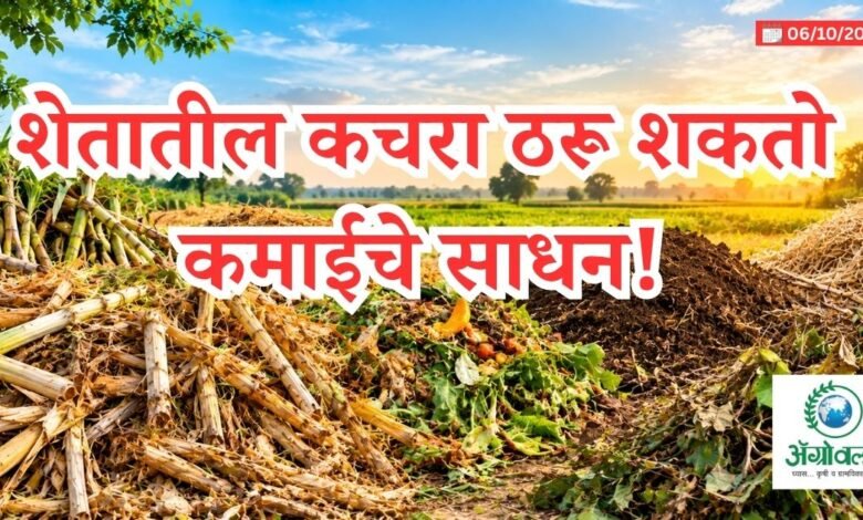 कृषी अवशेष