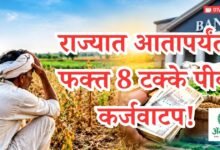 पीक कर्जवाटप