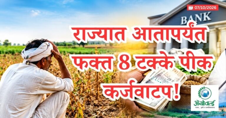 पीक कर्जवाटप