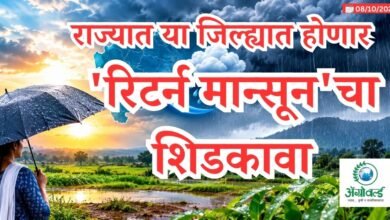 मान्सून