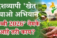 रब्बी 2026